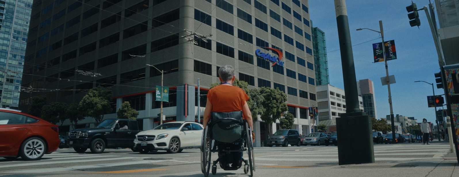 Picture of the author